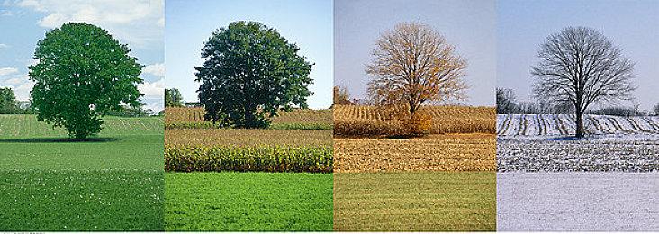 《漫威蜘蛛侠2》第一手体验报道：共生体能力、战斗、PS5功能