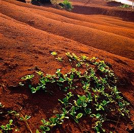 恋爱ADV《Steam Prison -Beyond the Steam-》发售日及预约开始通知